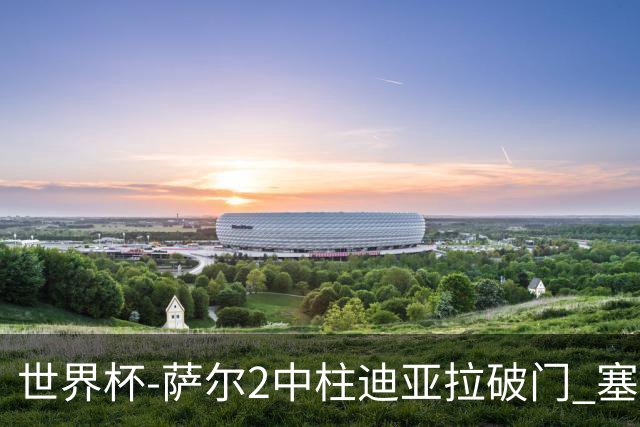 世界杯-萨尔2中柱迪亚拉破门 塞内加尔半场暂1-0比利时